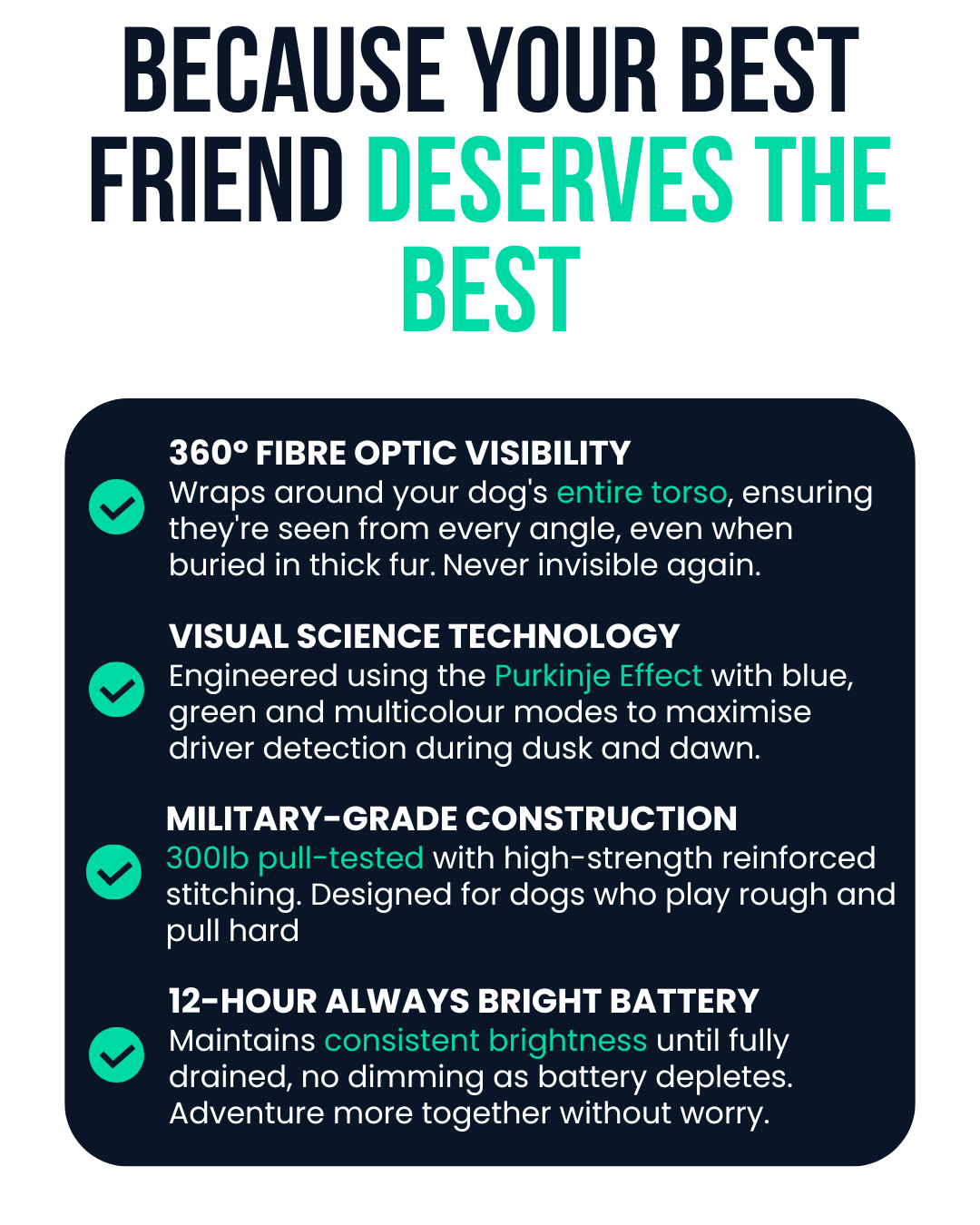 Harnies | Time for dogs to shine