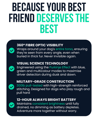 Harnies | Time for dogs to shine