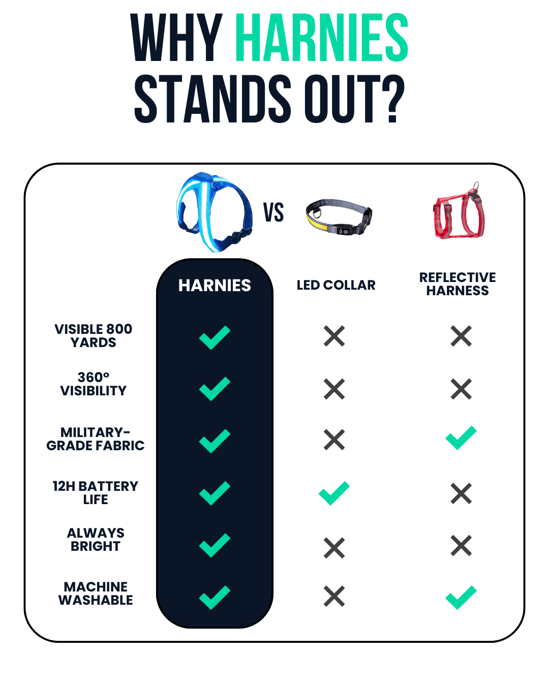 Harnies | Time for dogs to shine