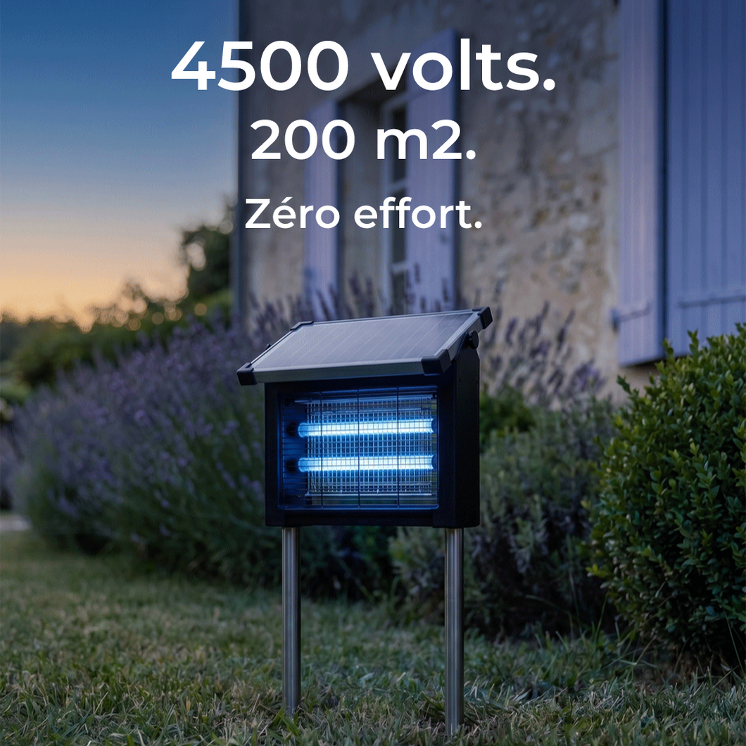 Lumiole Sentinelle