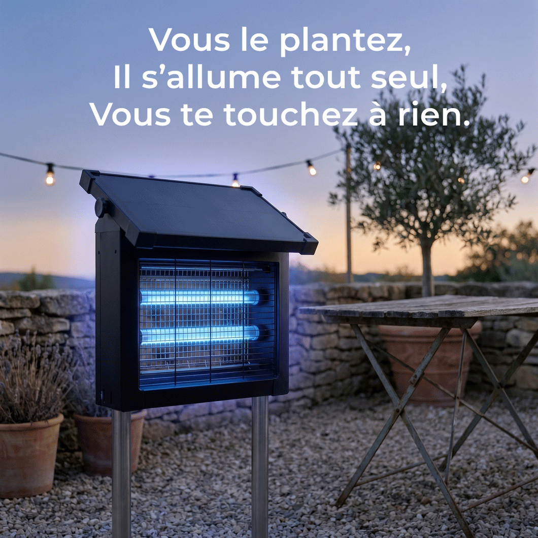 Lumiole Sentinelle