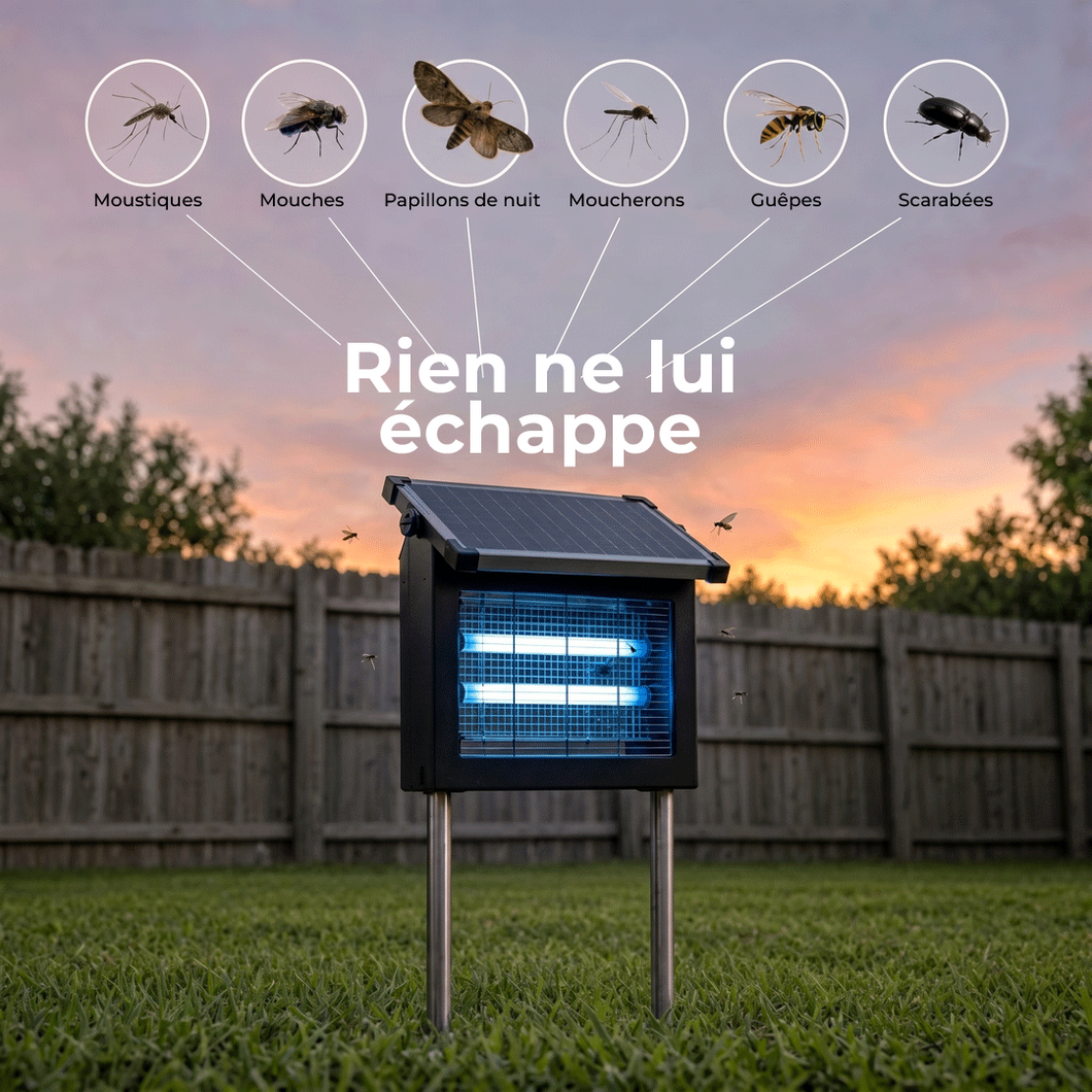 Lumiole Sentinelle
