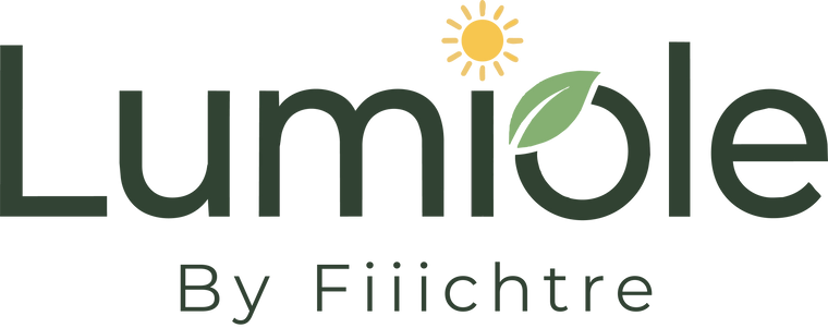 lumiole_by_fiiichtre_logo.png